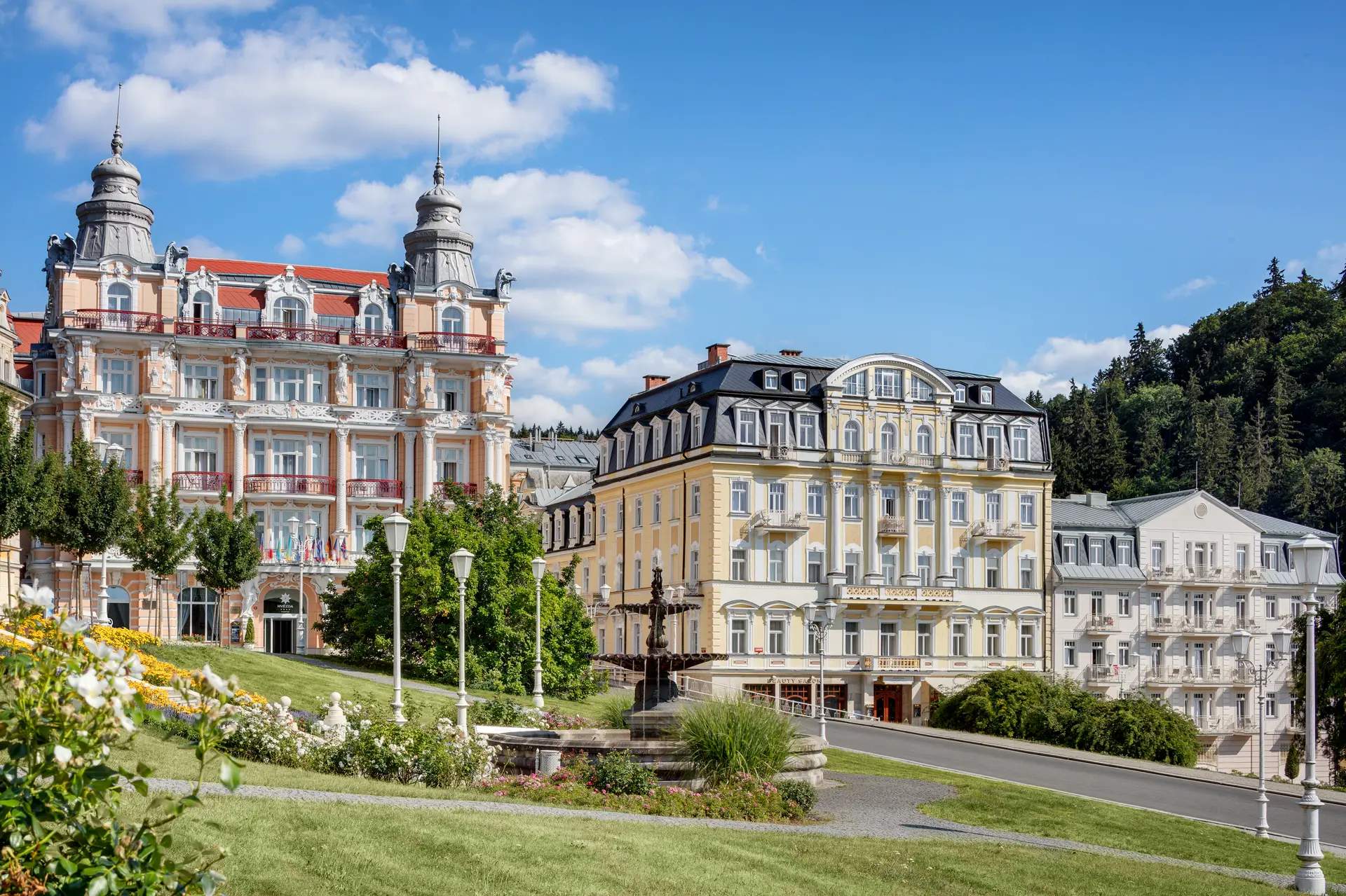 Hvězda